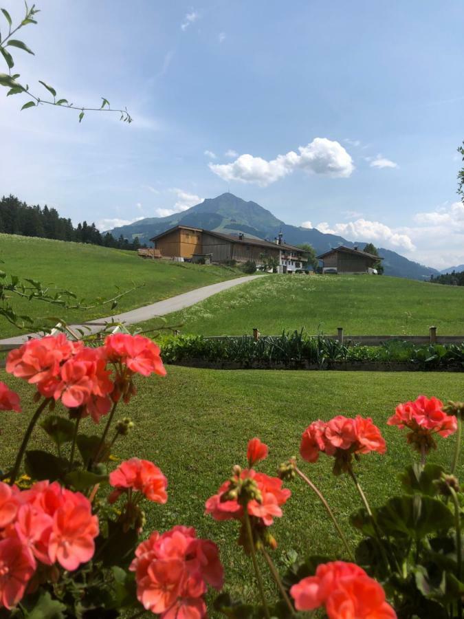 Appartement Woergoetter Evi Sankt Johann in Tirol Ngoại thất bức ảnh